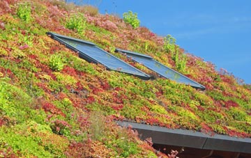 Tattershall Thorpe living roof systems