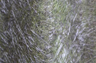 Tattershall Thorpe fibreglass roof work